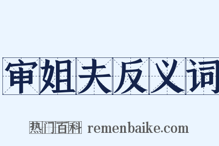审姐夫反义词是什么意思的图片